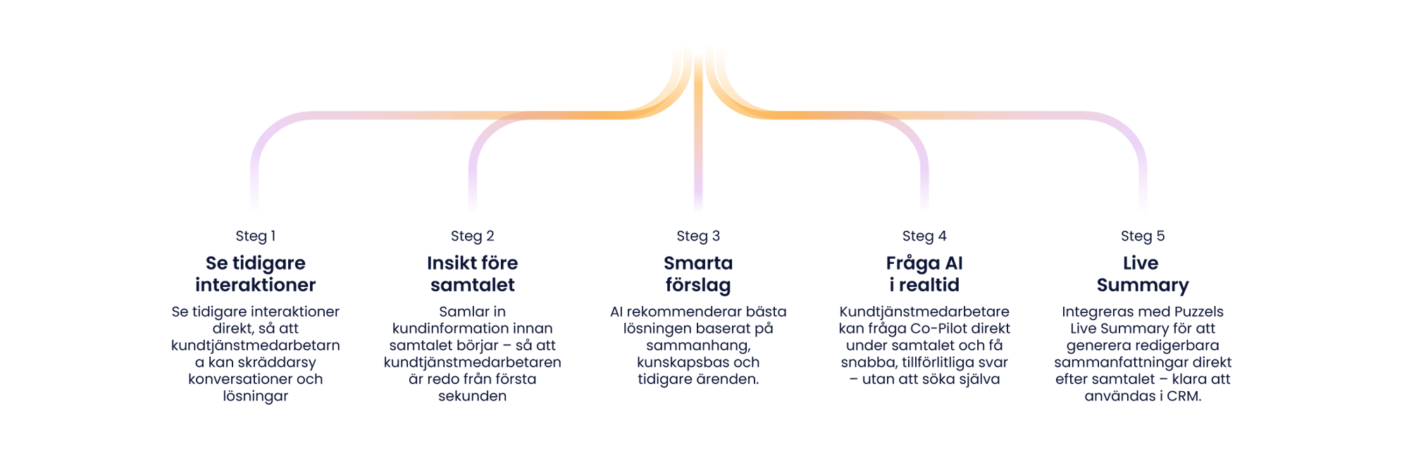 Co-Pilot-diagram-SE