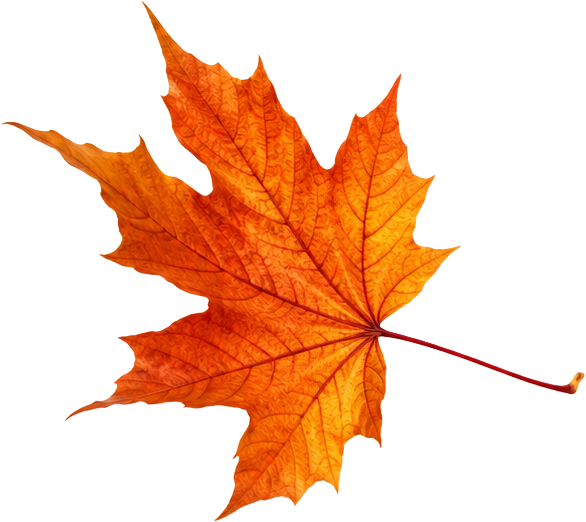leaf1