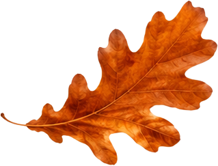 leaf2