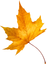 leaf3